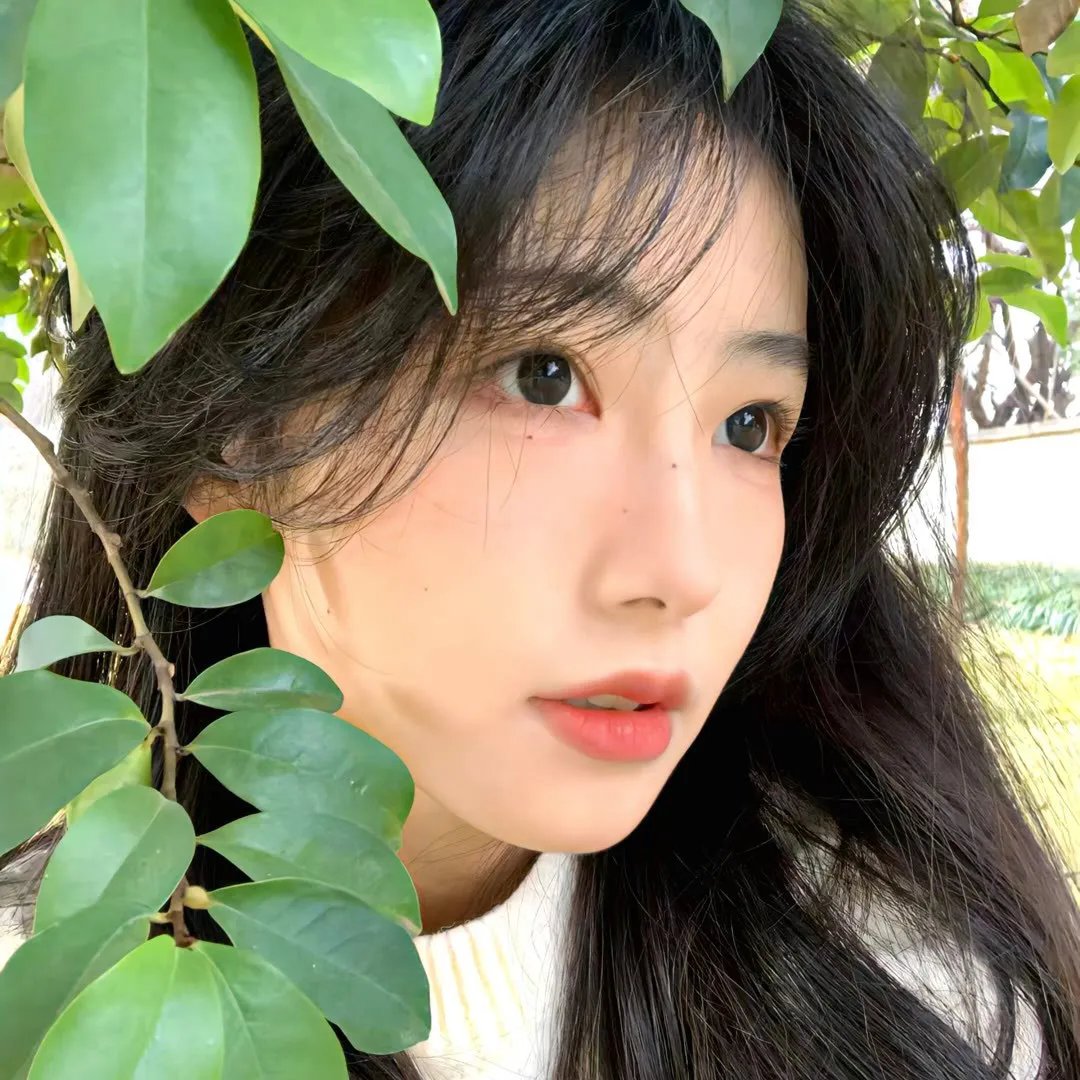 美洲豹女儿