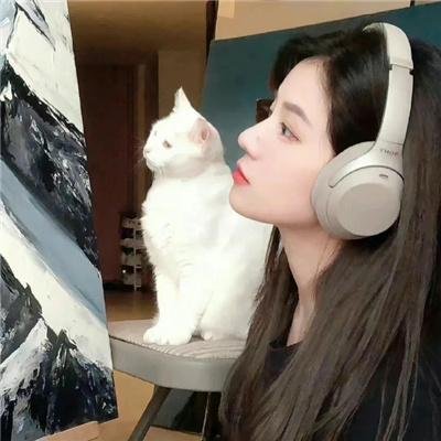 的士飚花
